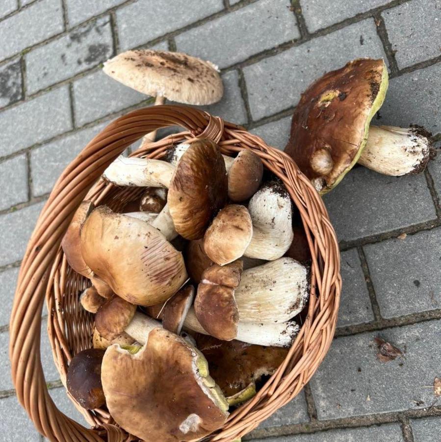 Domek Nad Jeziorem Myślibórz Eksteriør billede